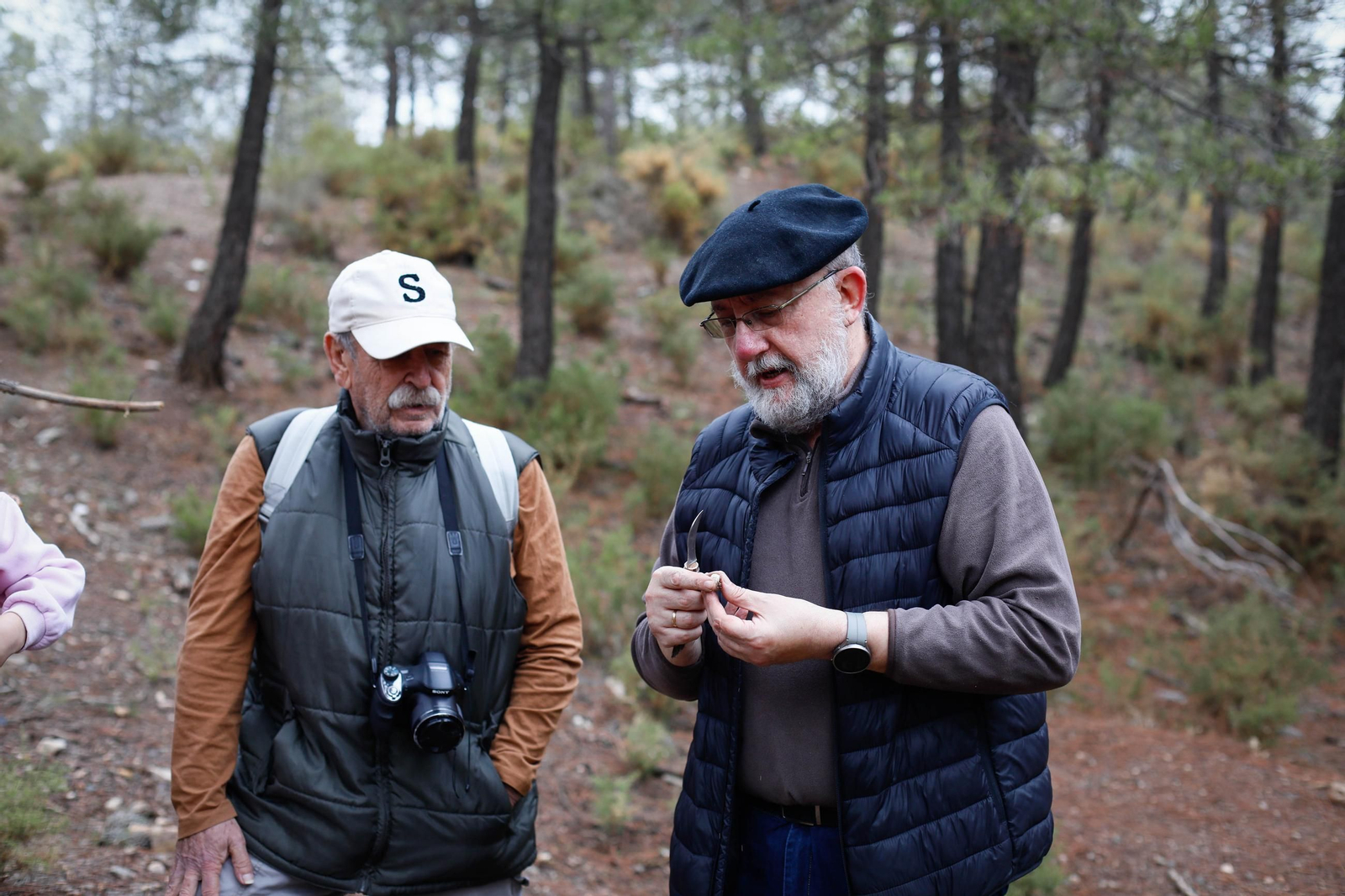 La ruta recolectora de setas en Abla por las XIX Jornadas Micológicas, en imágenes