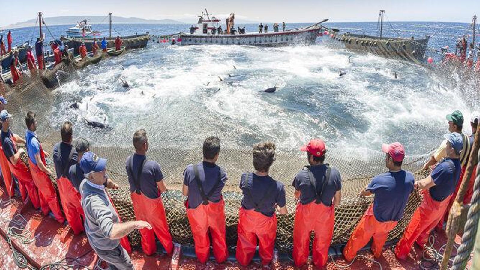 Una almadraba en Barbate.