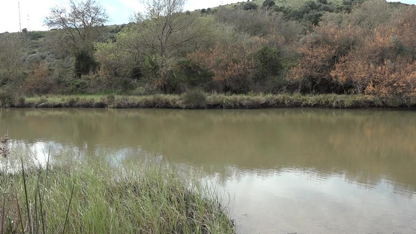 El río Guadarranque, a su paso por la Estación de San Roque.