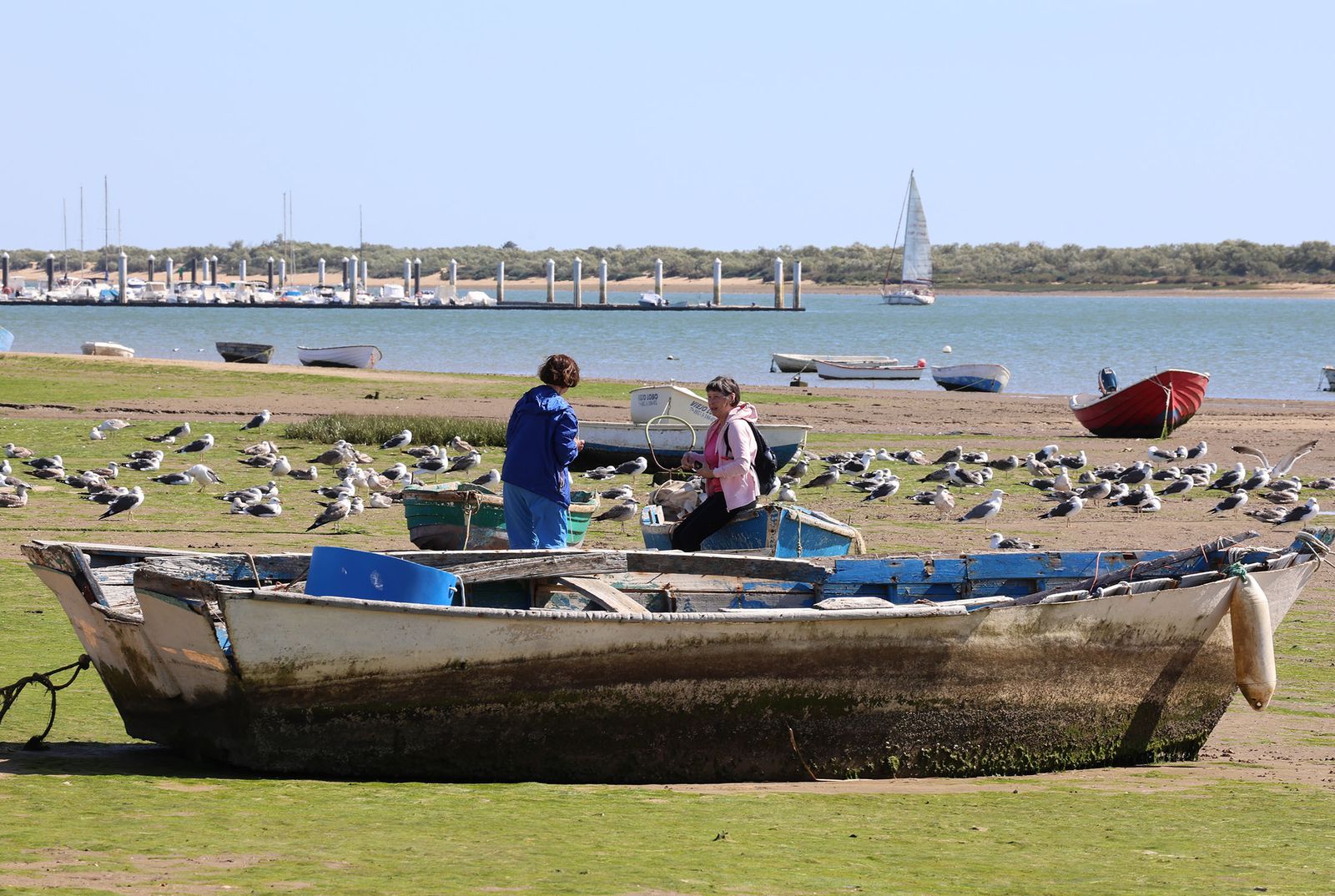 Las imágenes más destacadas del miércoles 28 de febrero en Huelva