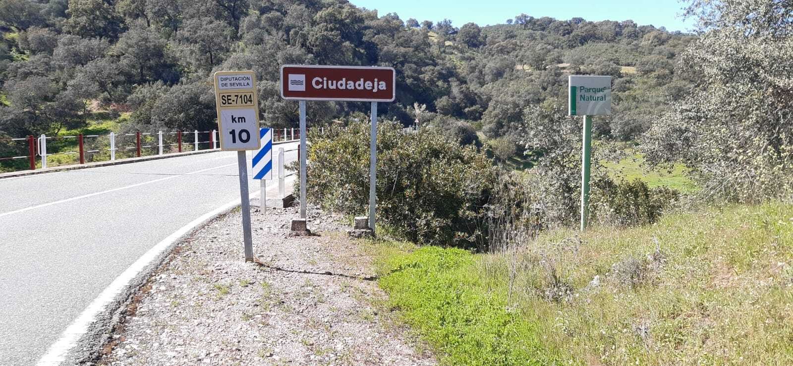 Una imagen de la SE-7104, que discurre por el Parque Natural de la Sierra Norte.