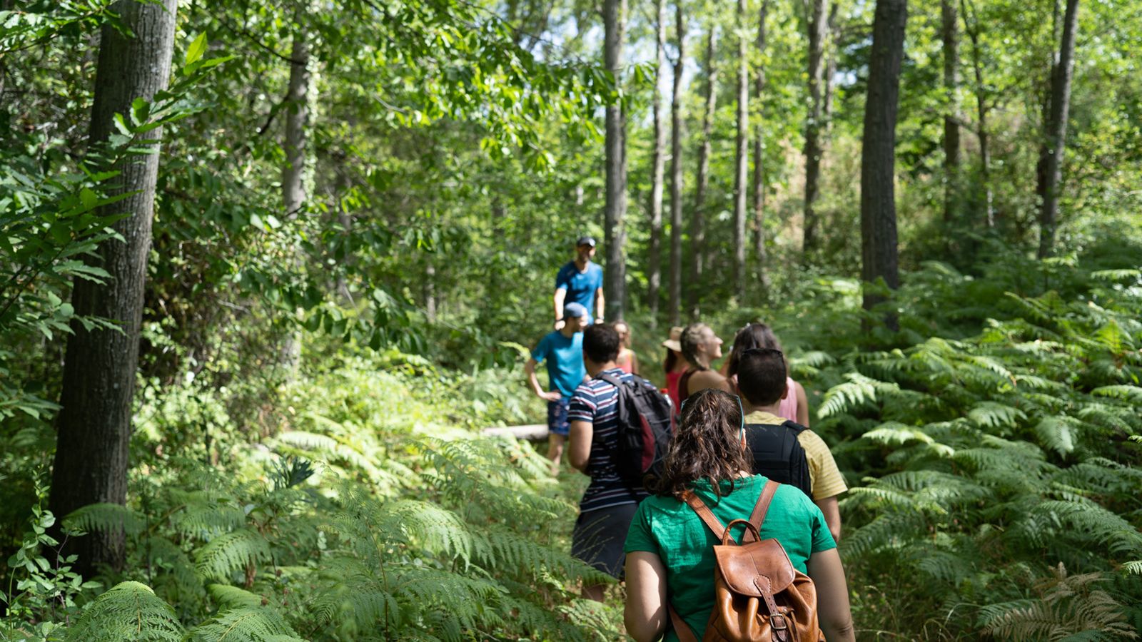 Senderismo por Bayárcal.
