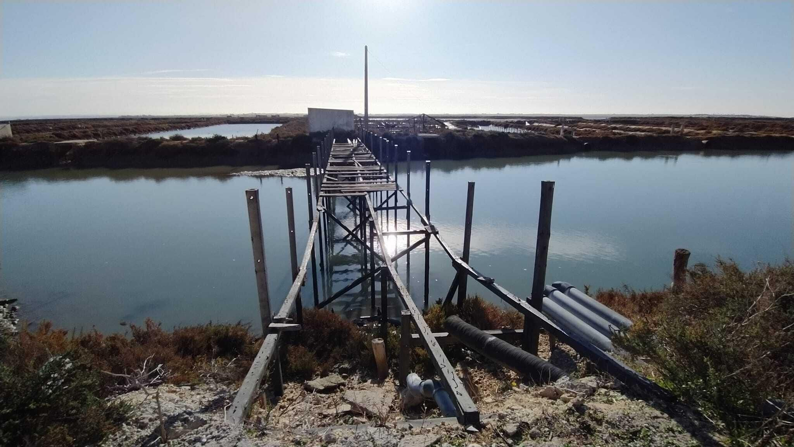 La degradación de la salina La Carabela en San Fernando