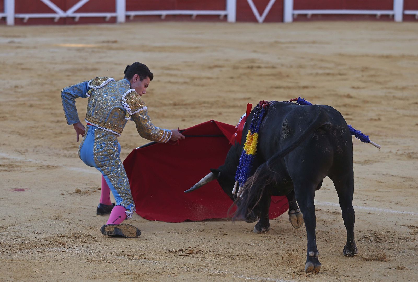 La novillada de Miguelín que abre la feria de Algeciras, en imágenes
