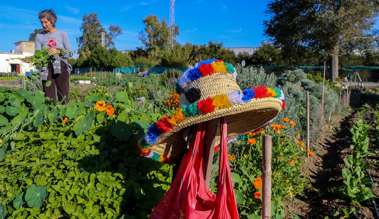 Una de las parcelas de los huertos solidarios de Madre Coraje, en una imagen de archivo.