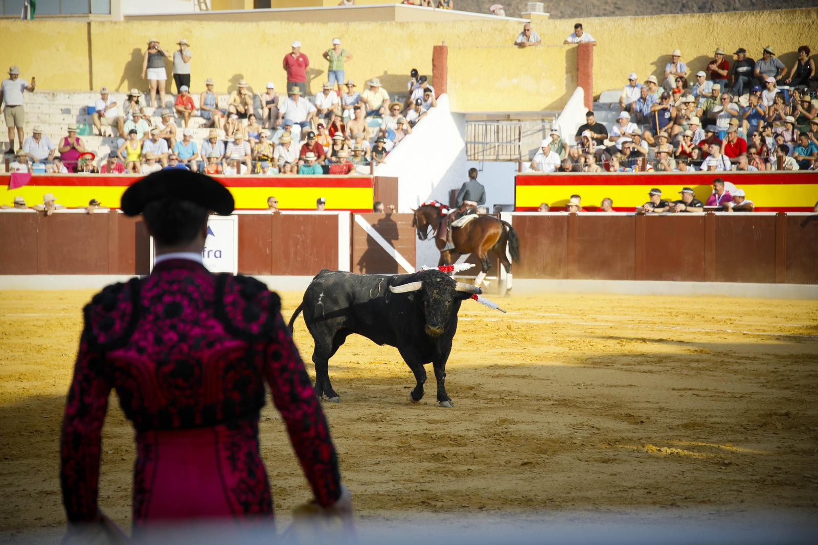 Corrida de toros Berja con un toro indultado, en imágenes
