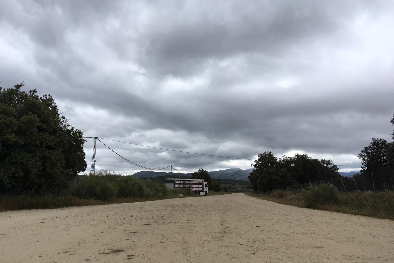 Obras paralizadas en la futura variante de Arriate.