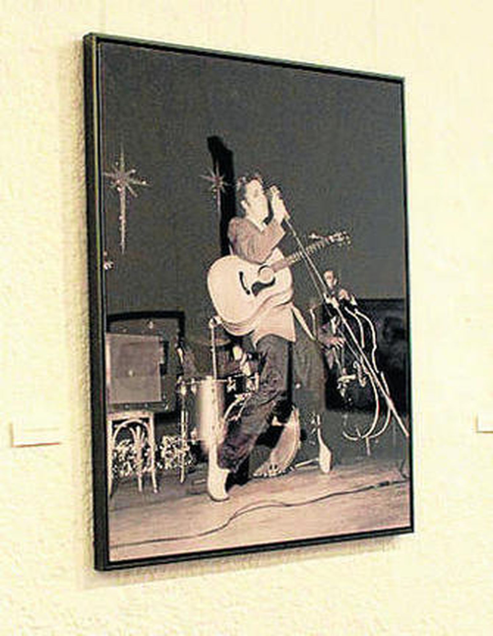 Una de las imágenes de Elvis.