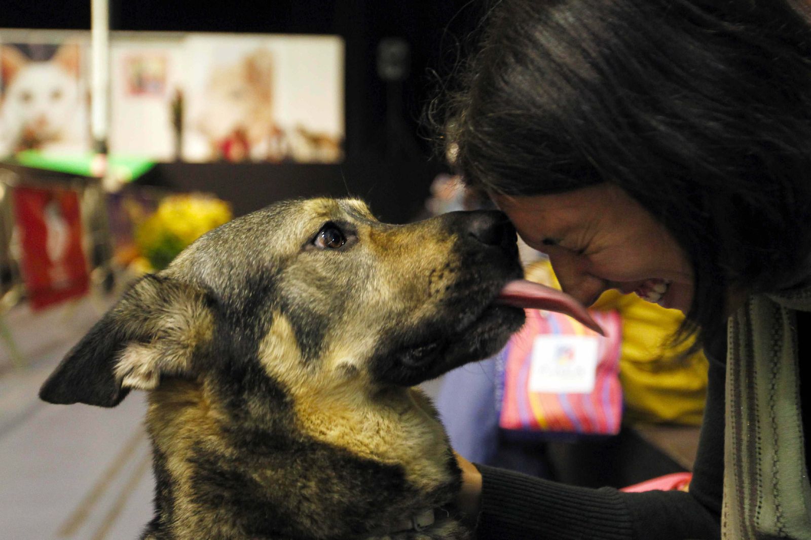 Los mejores amigos del hombre y de la mujer