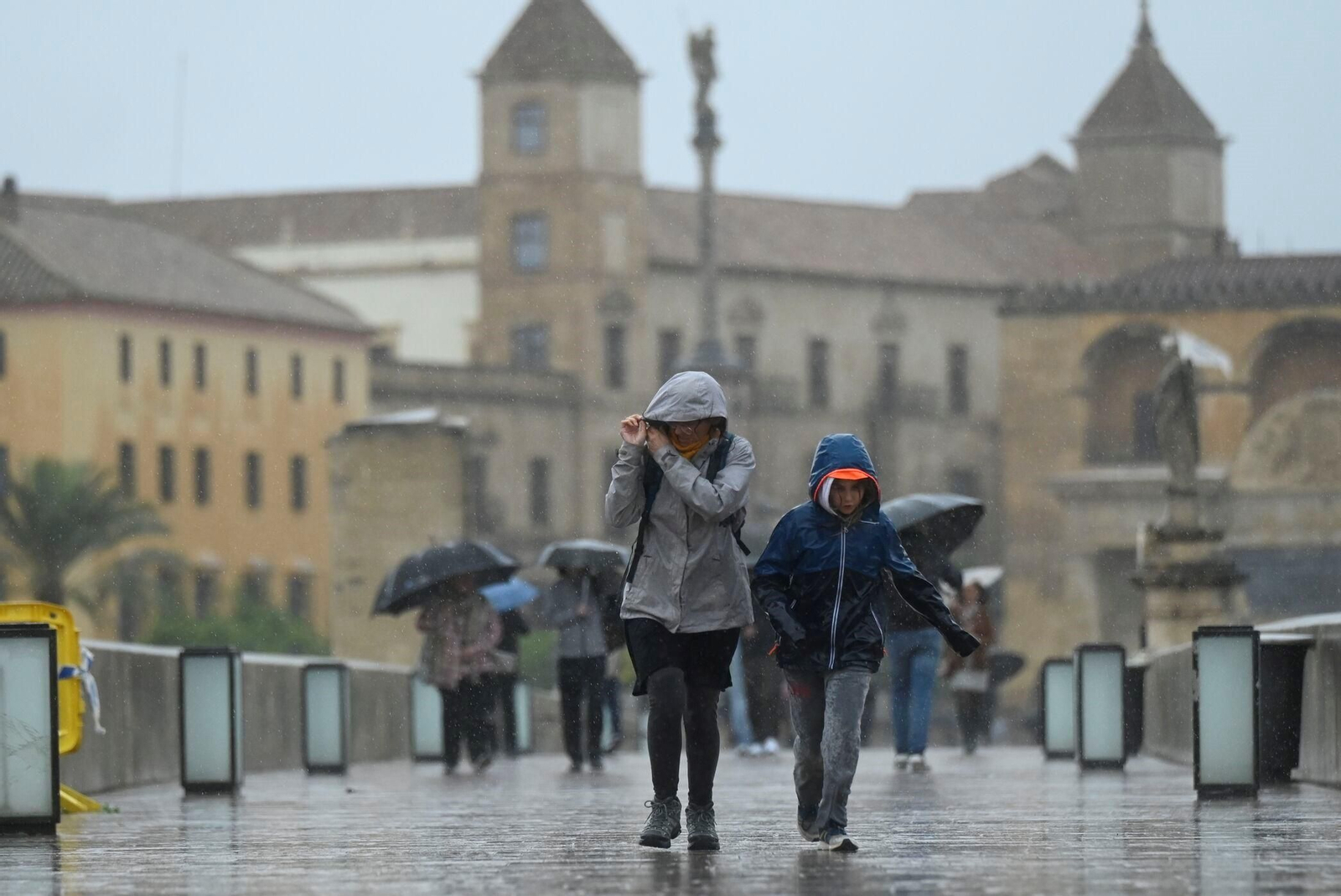 El paso de la borrasca Claudia por Córdoba en imágenes