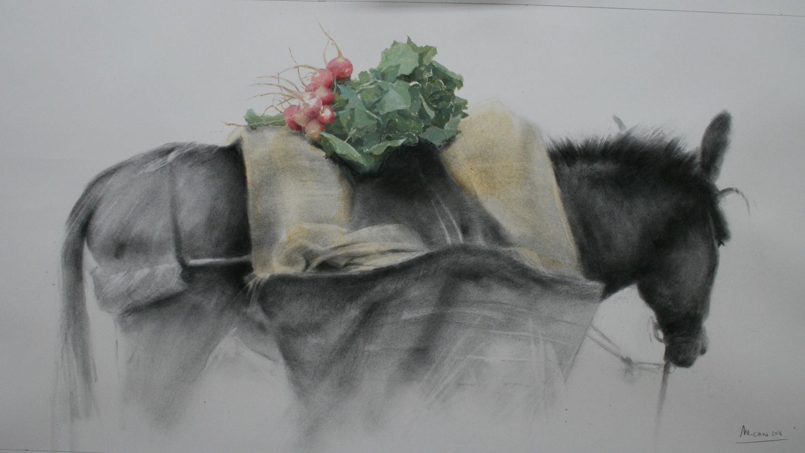 Uno de los burros de Manolo Cano