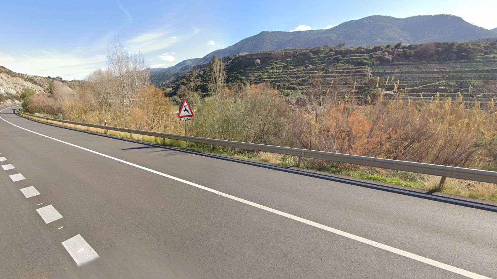 Señal de peligro por paso de animales salvajes en la A-348.