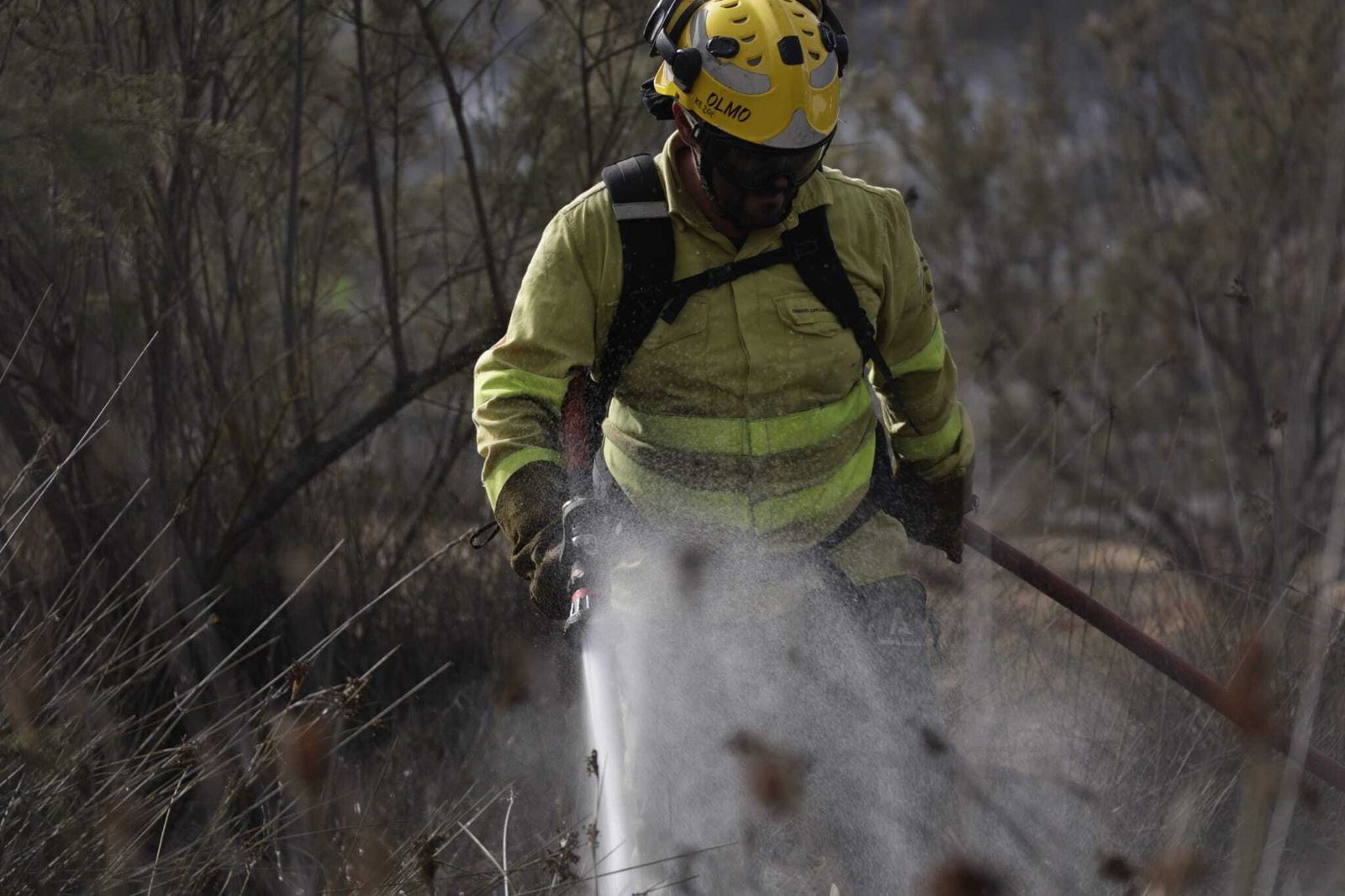 Imágenes del incendio en el Tiro Pichón
