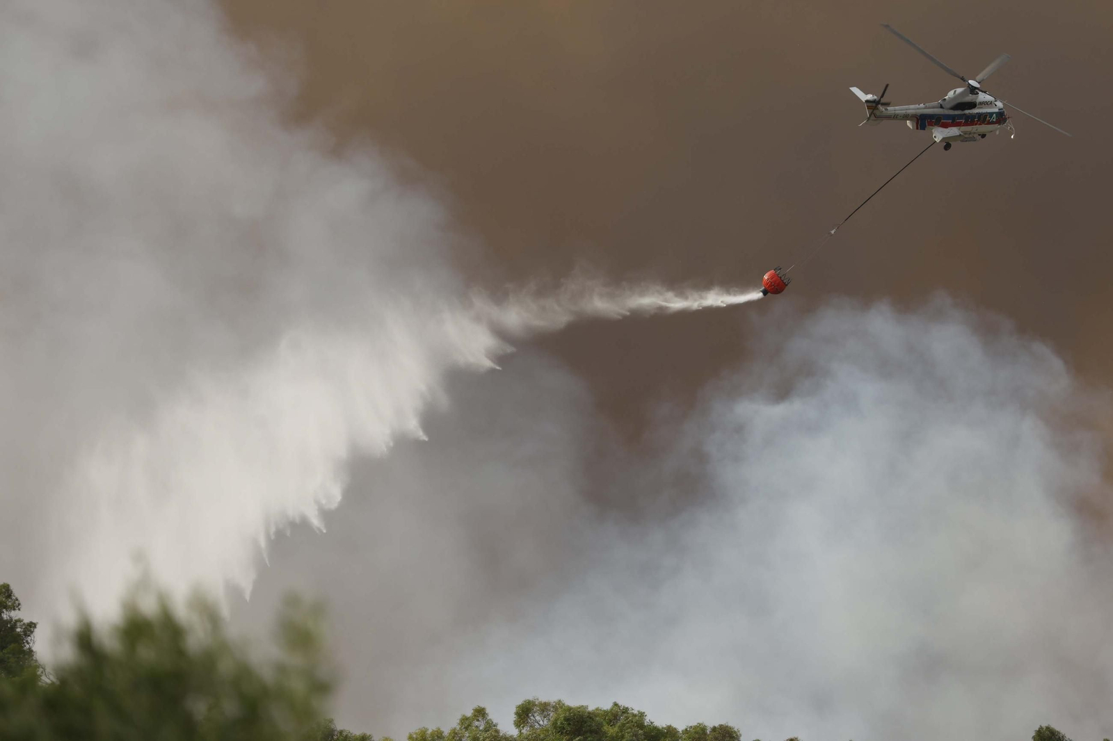Las fotos del incendio forestal entre la Torre y Valdevaqueros en Tarifa