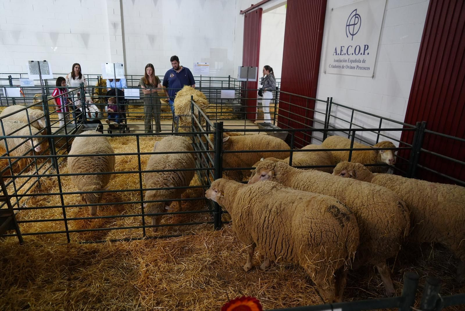 Las fotos de la Feria Agroganadera y XXI Agroalimentaria de Los Pedroches