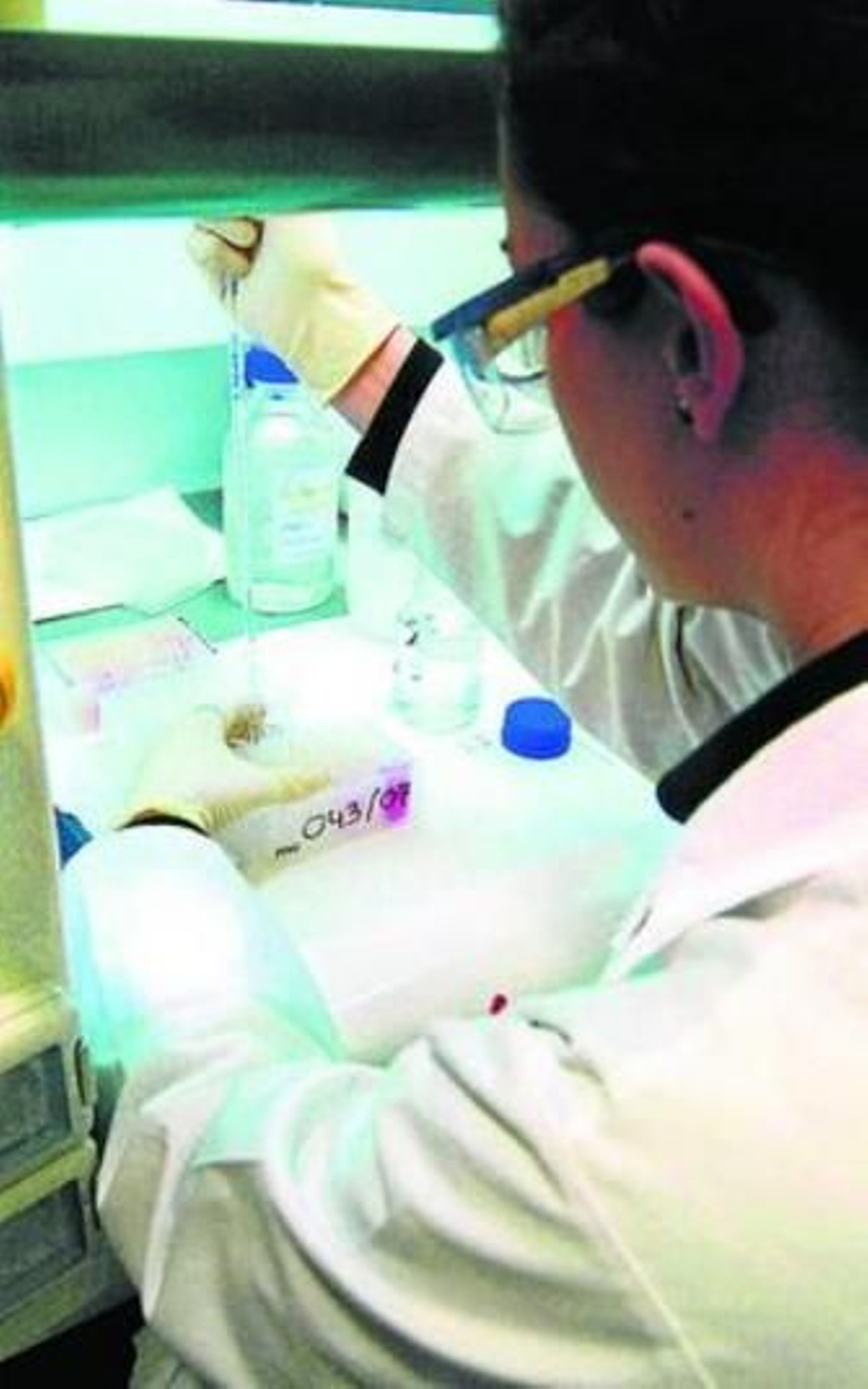 Se puede ser accionista de la empresa por apenas 500 euros.