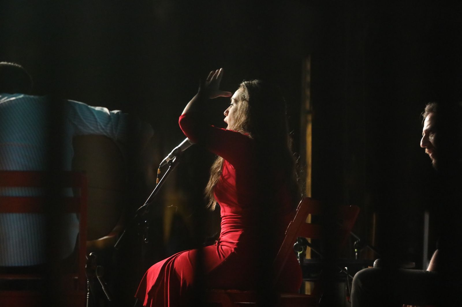 La noche flamenca en el Parque de San Fernando, en imágenes