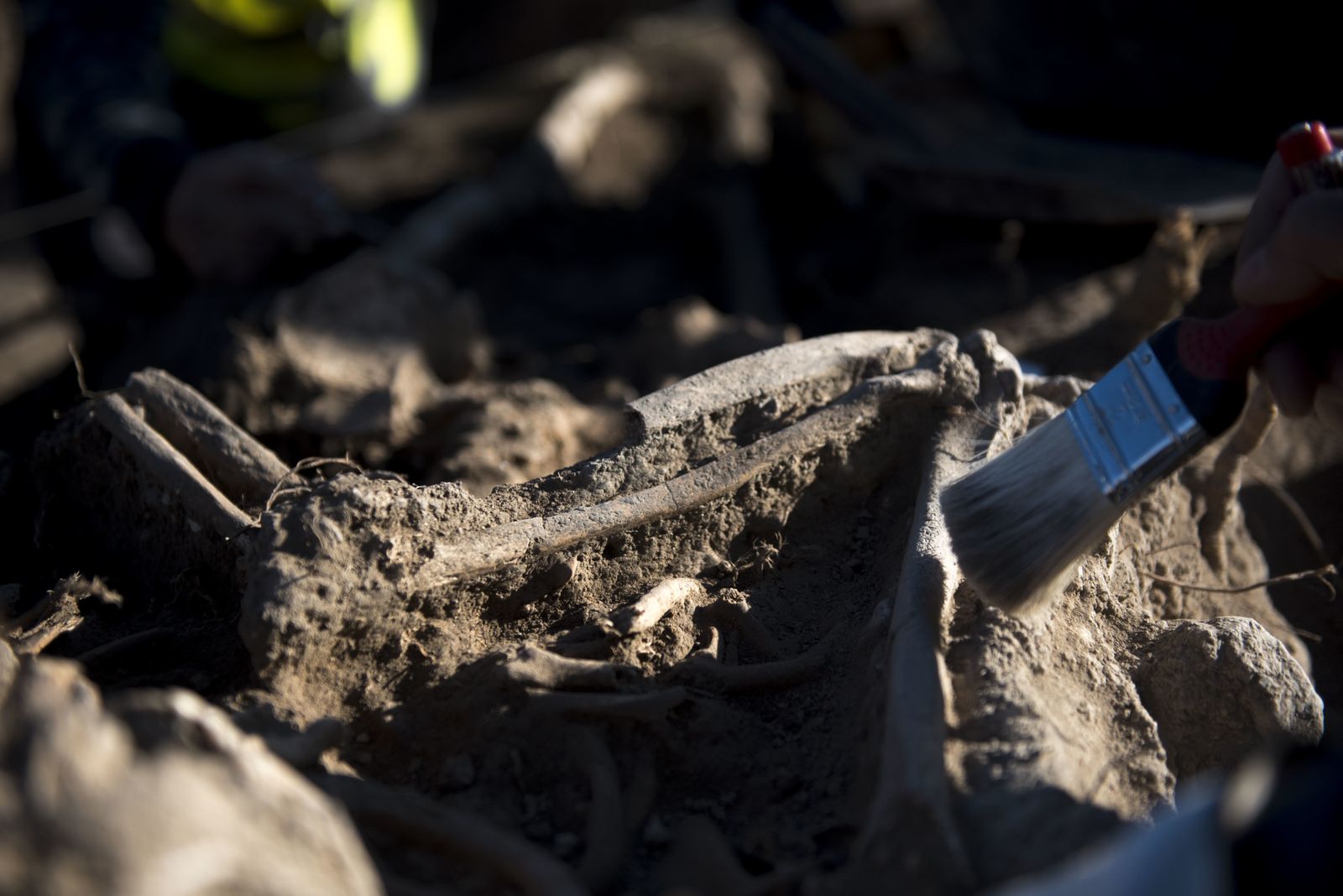 Nuevos hallazgos en Los Mondragones