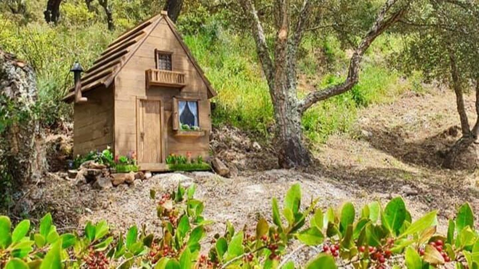Casa de madera de 'Los tres cerditos' bajo encinas Casa de madera de 'Los tres cerditos' bajo encinas