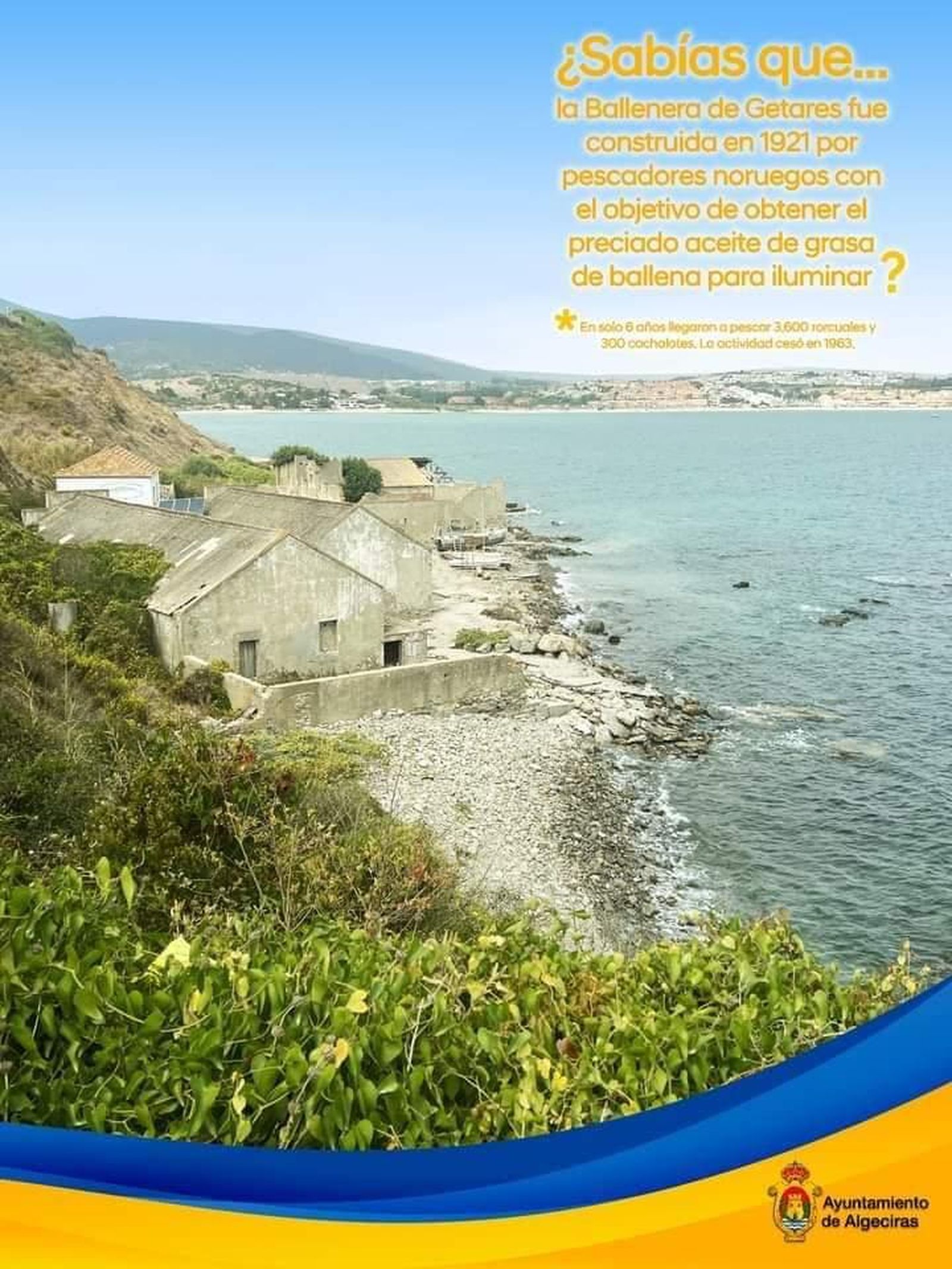 Carteles sobre las curiosidades de Algeciras expuestos en Plaza Alta.