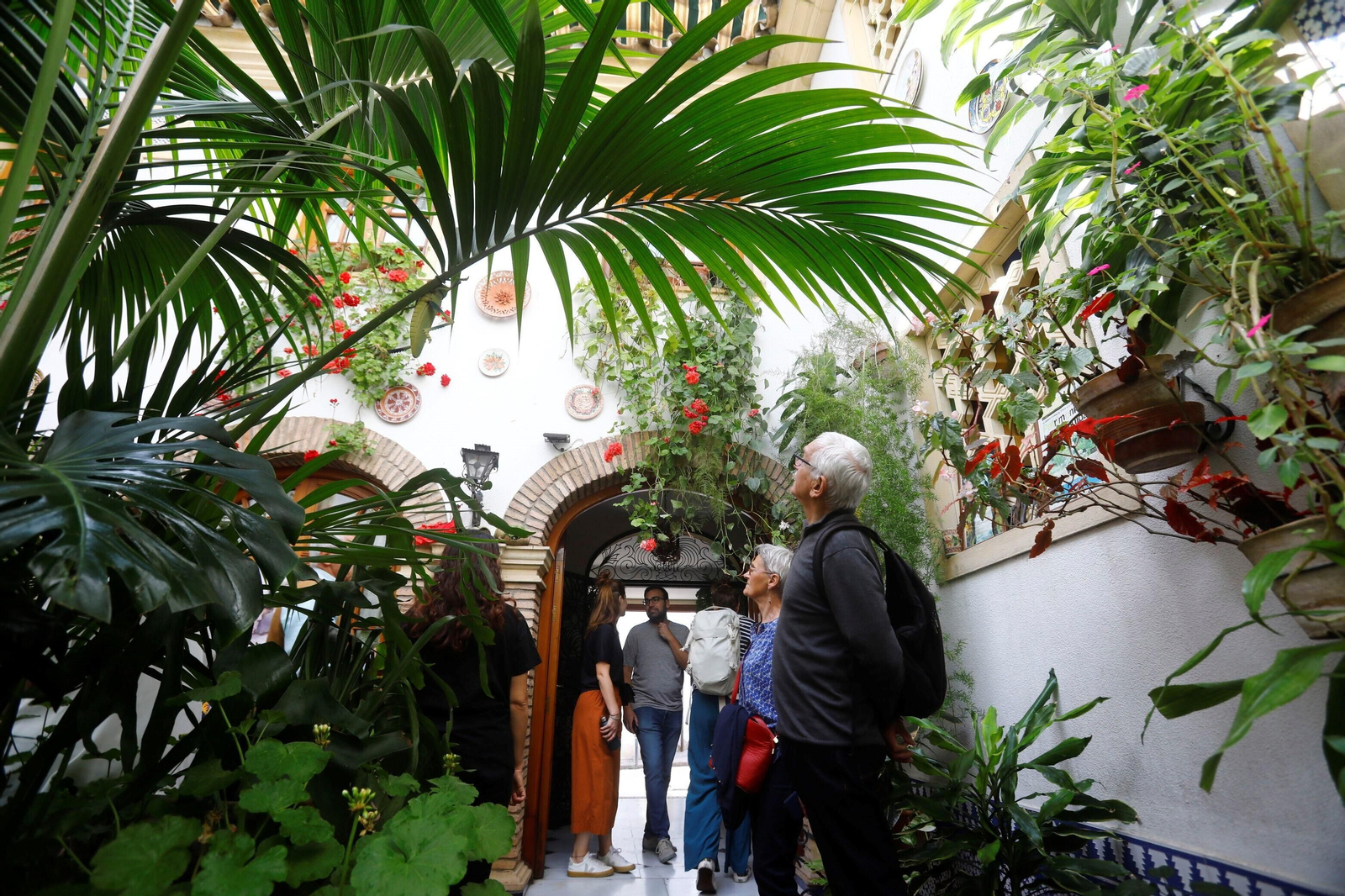 Los patios de Córdoba de la ruta Judería-San Francisco, en imágenes