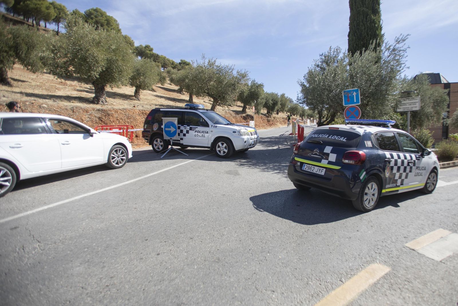 Fotos de cafeterías, parques y la 'Marcha Verde' vacía en el domingo de Granada