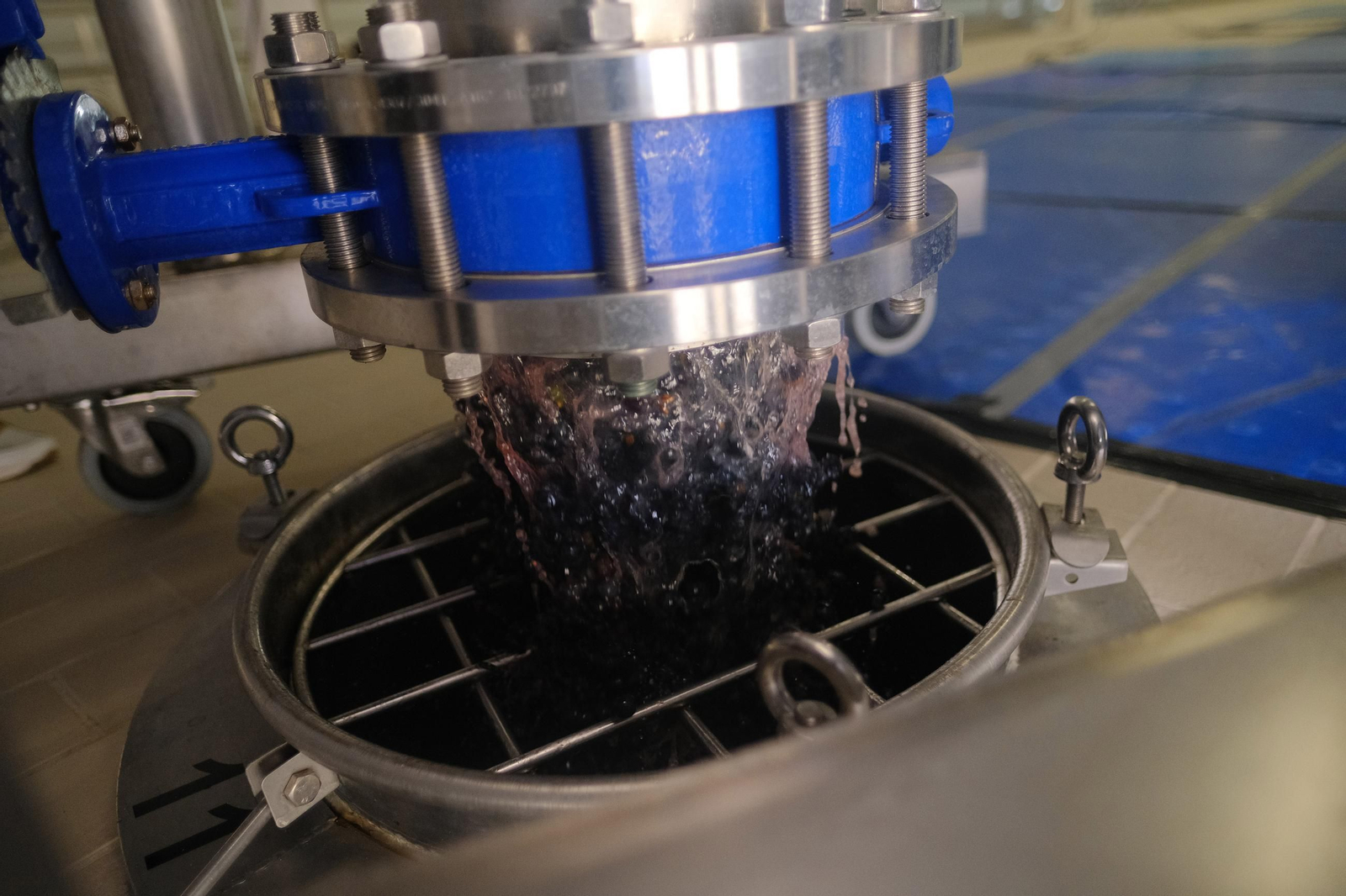 Vendimia en la Serranía de Ronda