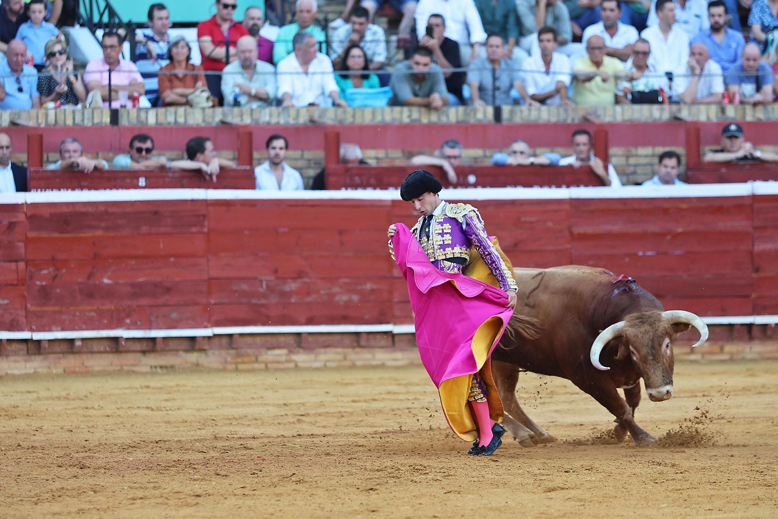 Toros La Merced 2024 Novillada con picadores(