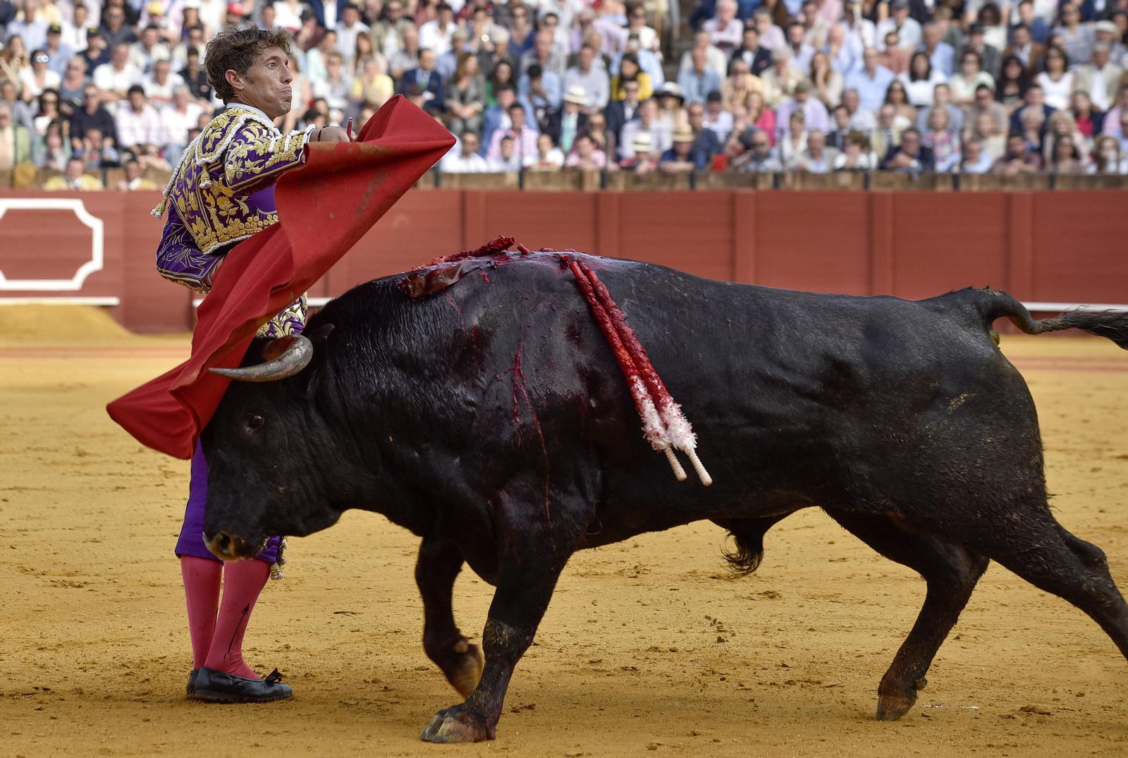 Las imágenes de la 14ª de abono de la Maestranza
