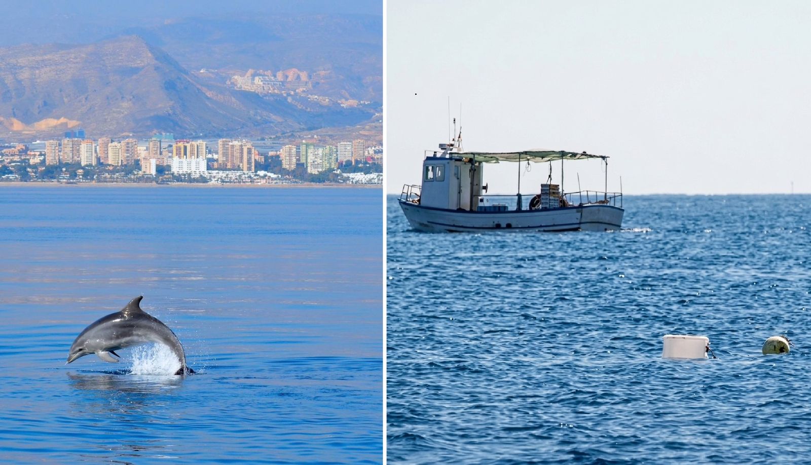 Las dos caras de la costa almeriense en el Banco de Chella