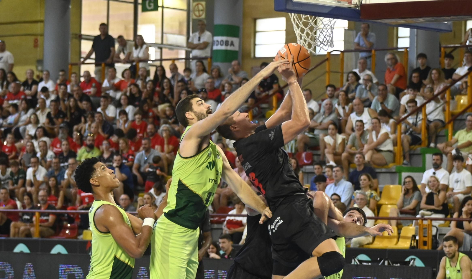 Las mejores fotos del ambiente en Vista Alegre para el Unicaja - Covirán Granada de la Copa de Andalucía de baloncesto