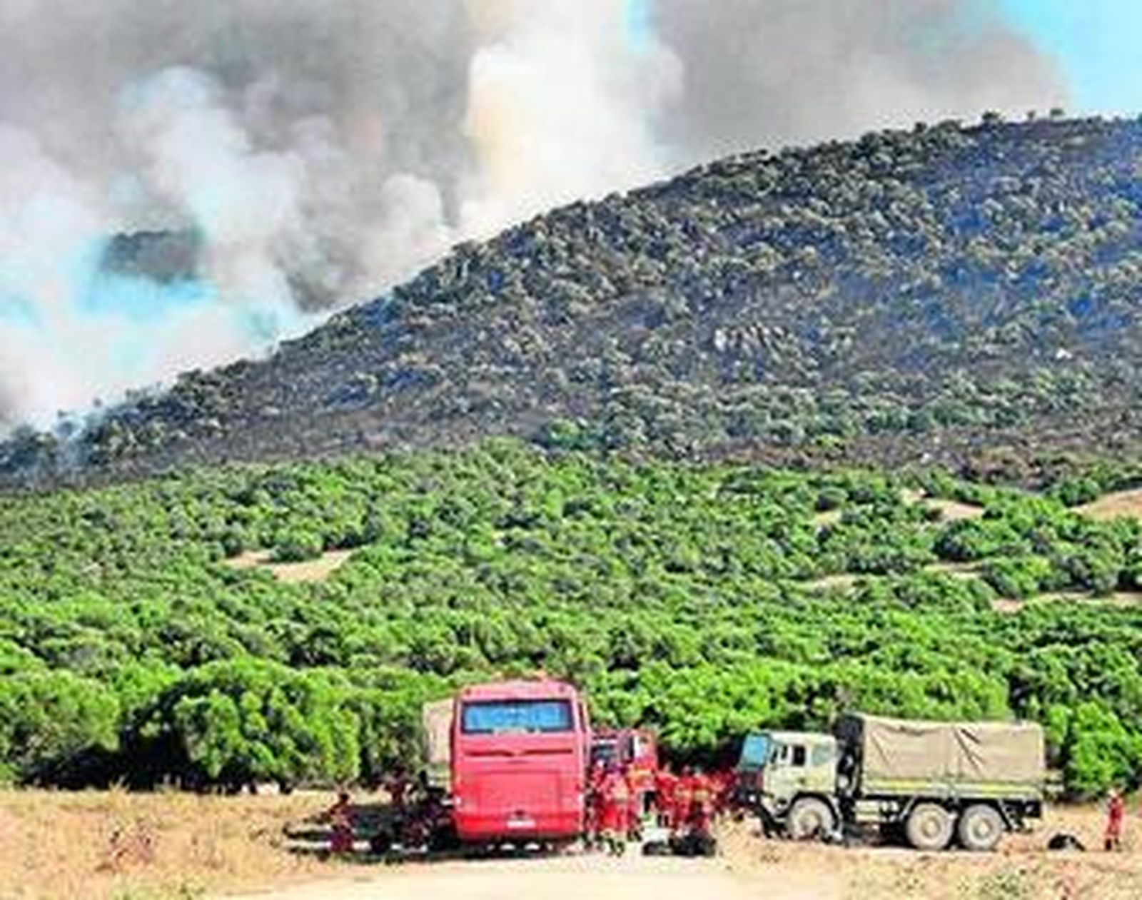 Imagen del ayer del campo de tiro del Retín (Barbate).