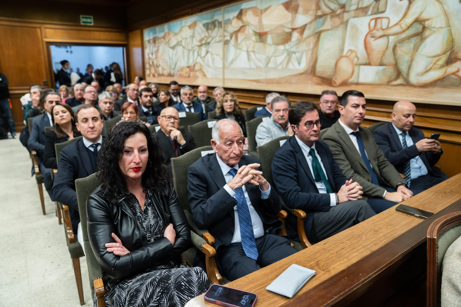 Así se ha vivido la investidura del nuevo presidente de la Diputación Provincial de Almería