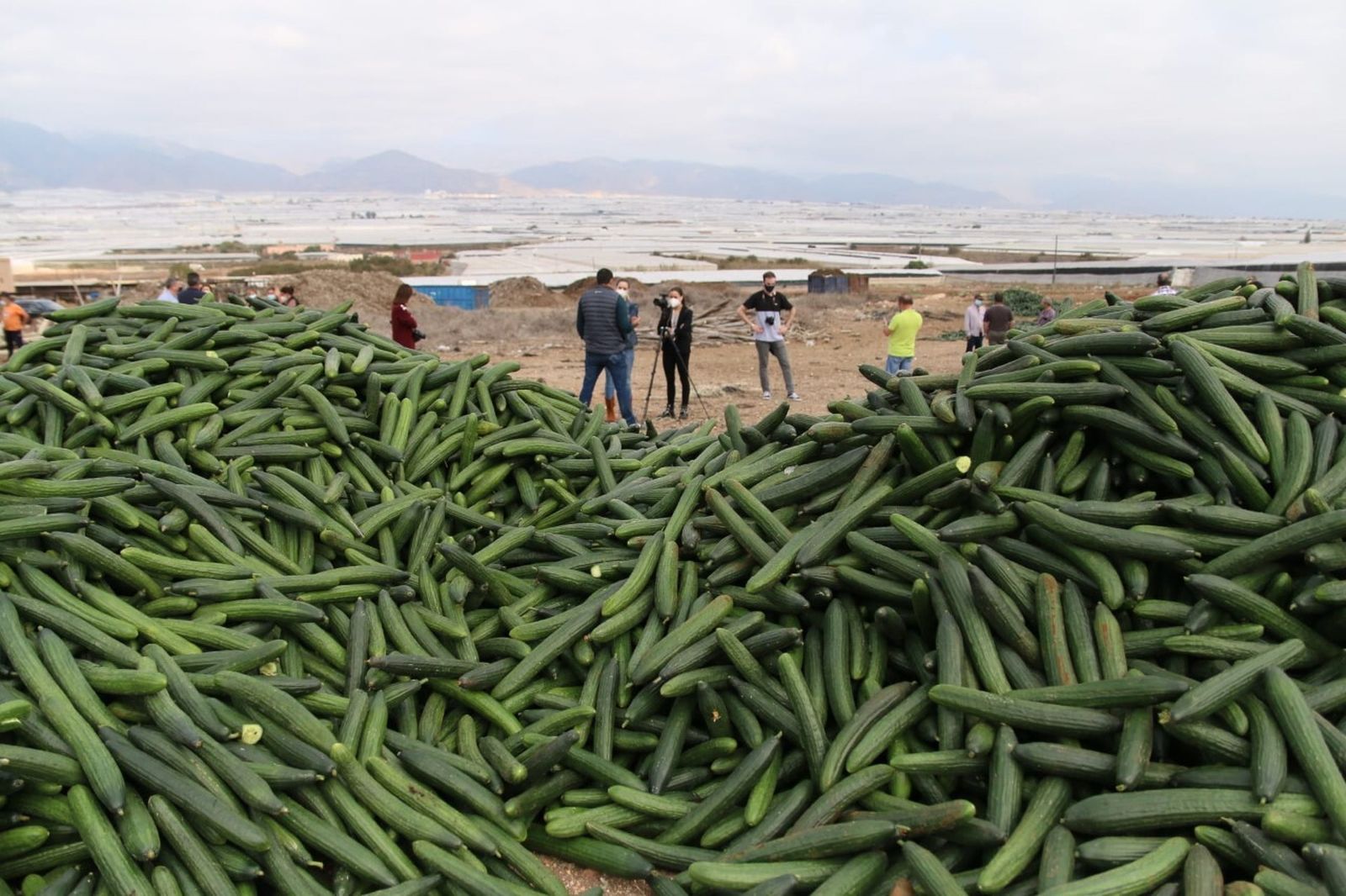 Otro acto simbólico de retirada de producto por el sector agrícola almeriense en su conjunto