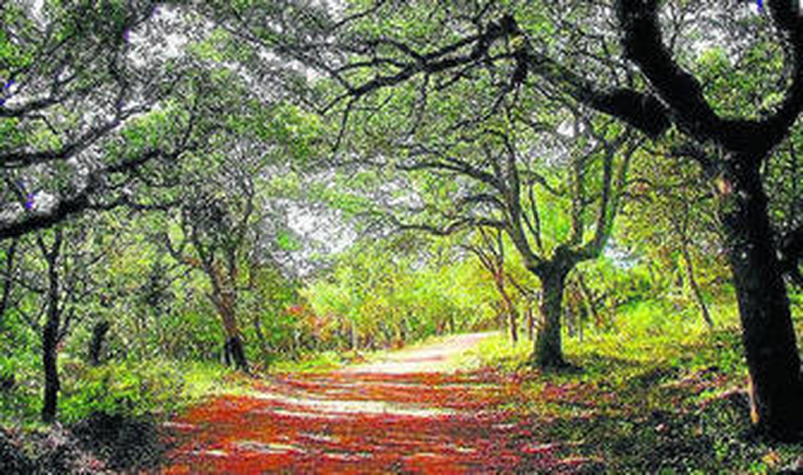 Un salto de agua que se puede ver durante la ruta.