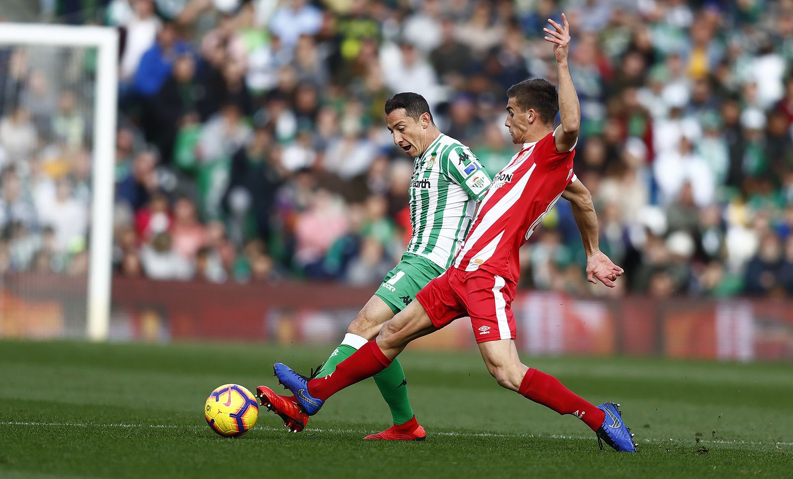 Las imágenes del Betis-Girona