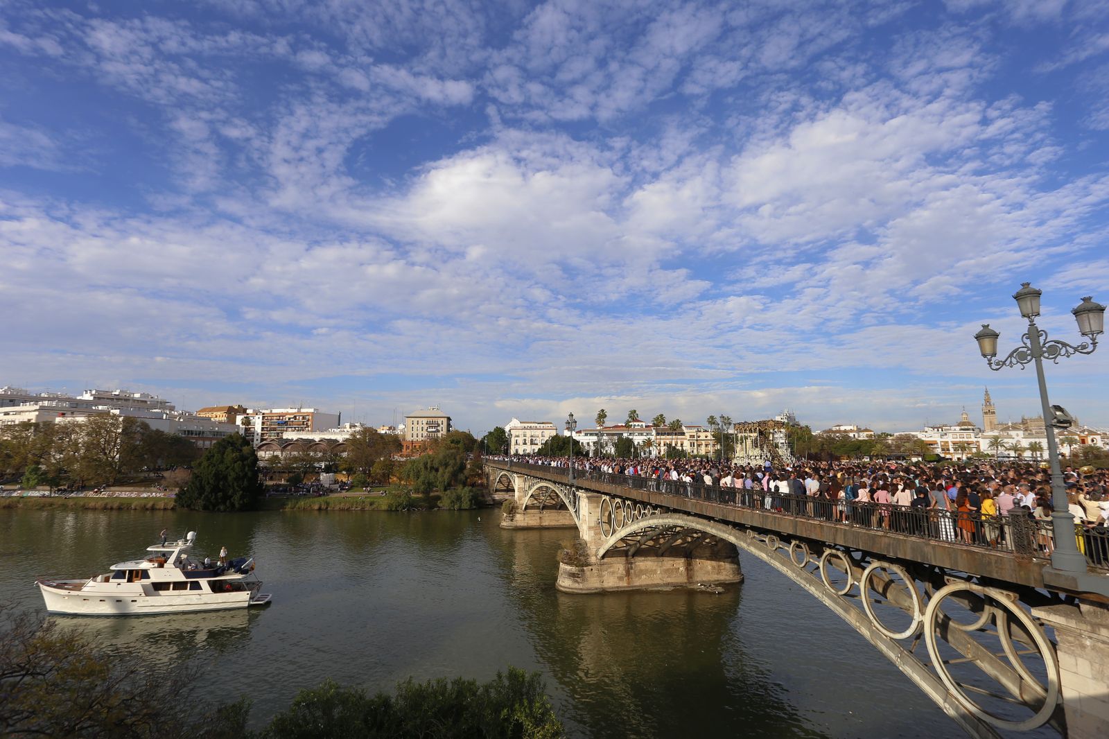 Las imágenes del Domingo de Ramos en Sevilla