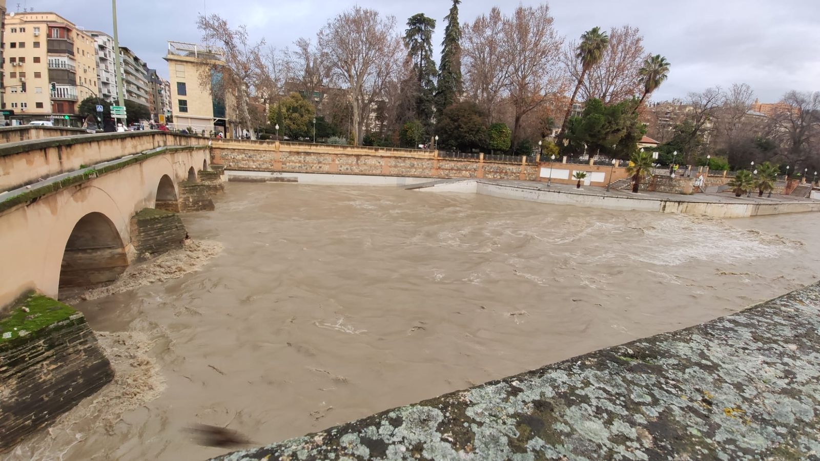 El Genil, este viernes por la mañana.