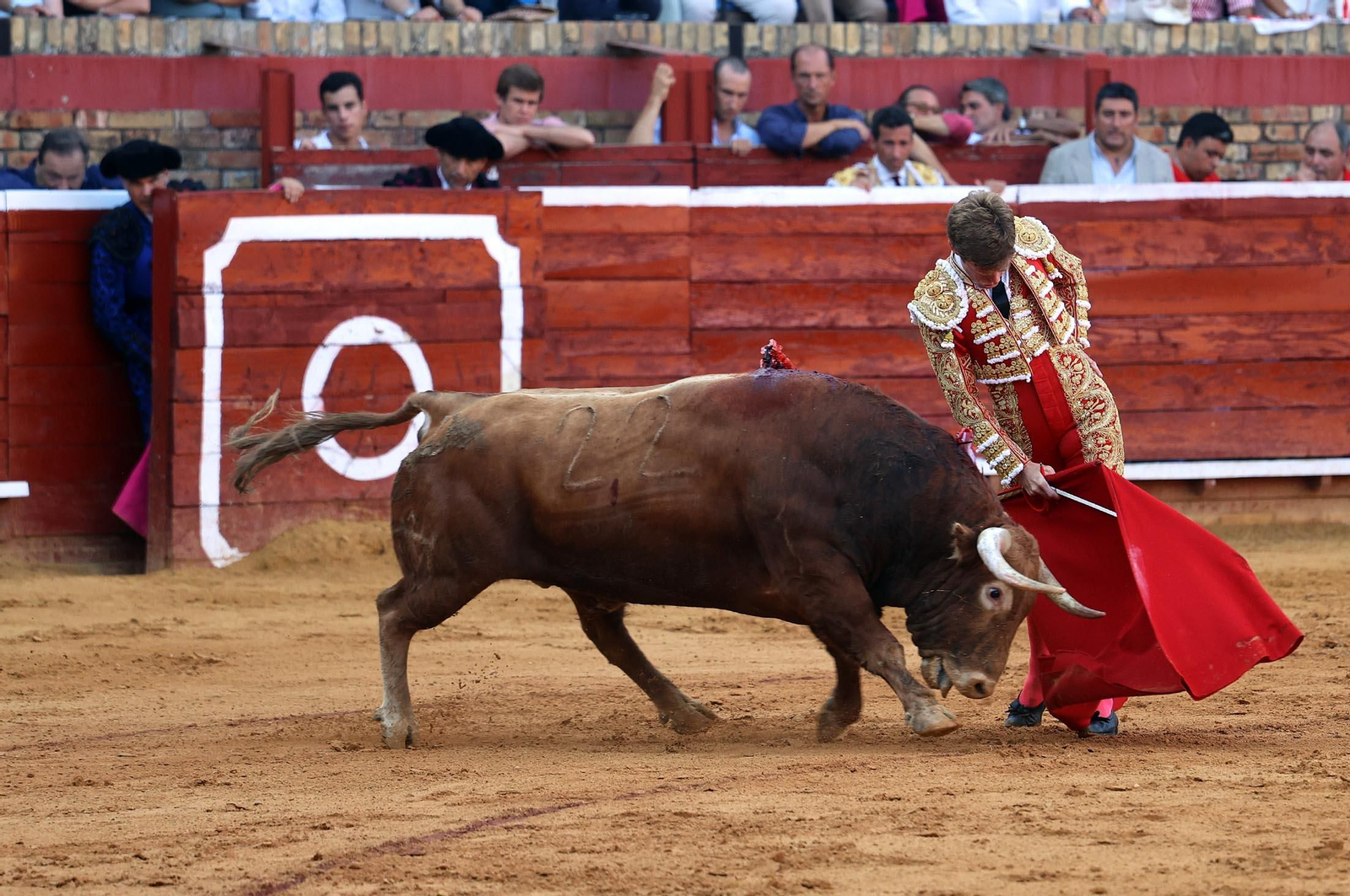 Toros La Merced 2025: Imágenes de la corrida de David de Miranda, Marco Pérez y Borja Jiménez