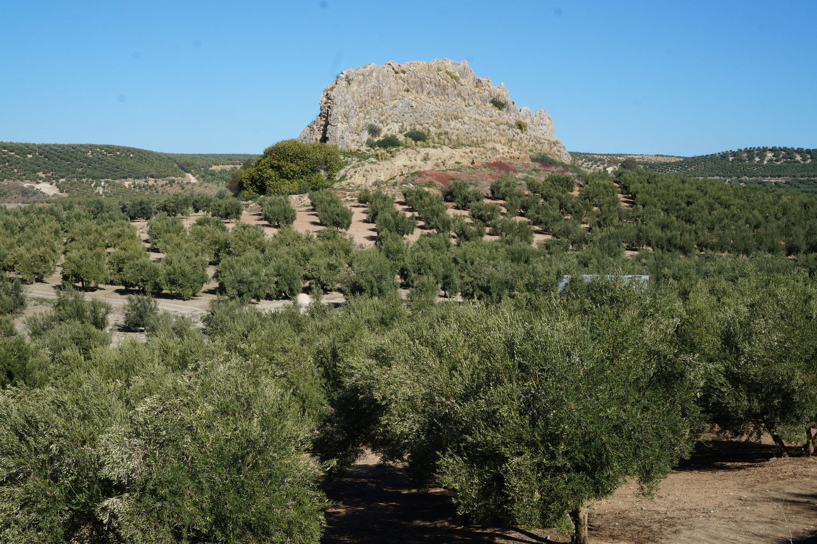 Piedra Luenga, la mole rocosa de Montilla, en fotografías