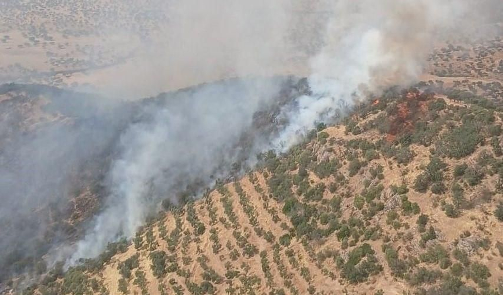 Incendio forestal en Villanueva del Rey el pasado mes de agosto.