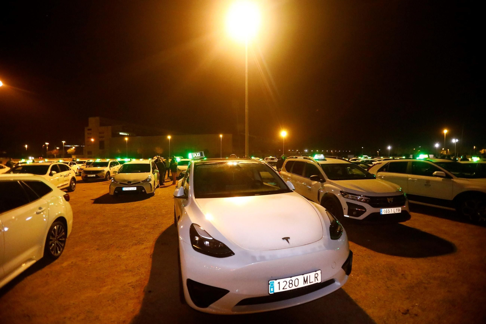 La protesta de los taxistas cordobeses contra las agresiones, en imágenes