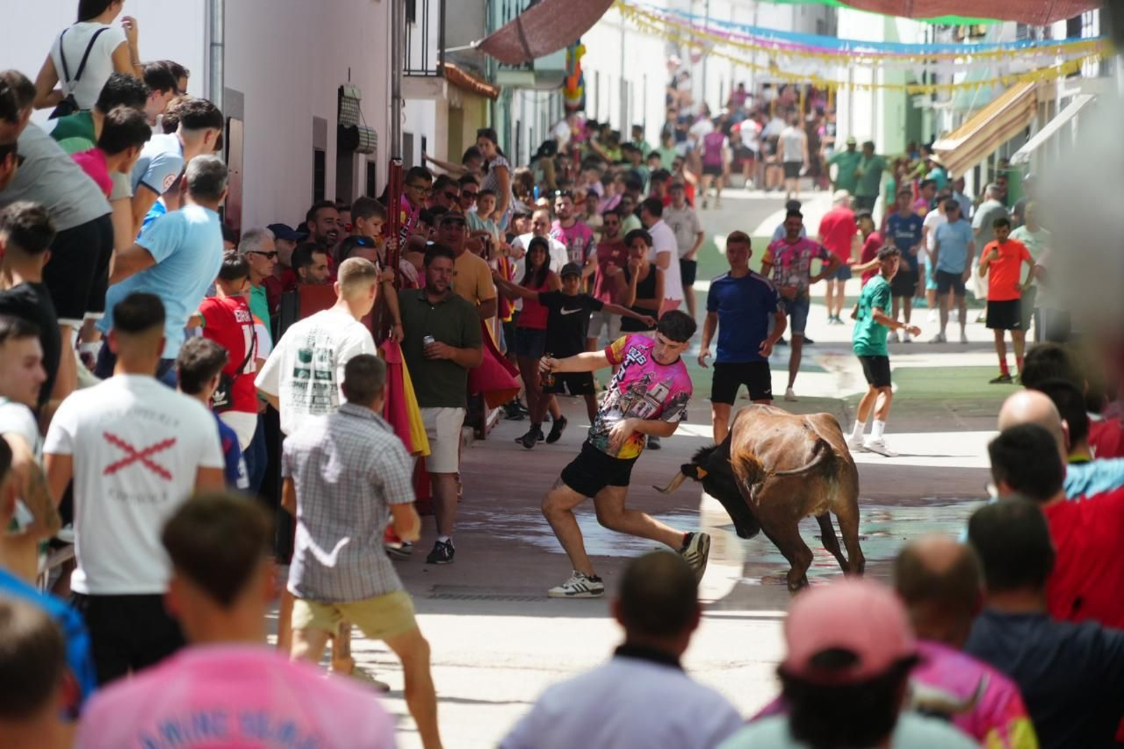 Las mejores imágenes del Día del Caballo y las Sevillanas de Dos Torres