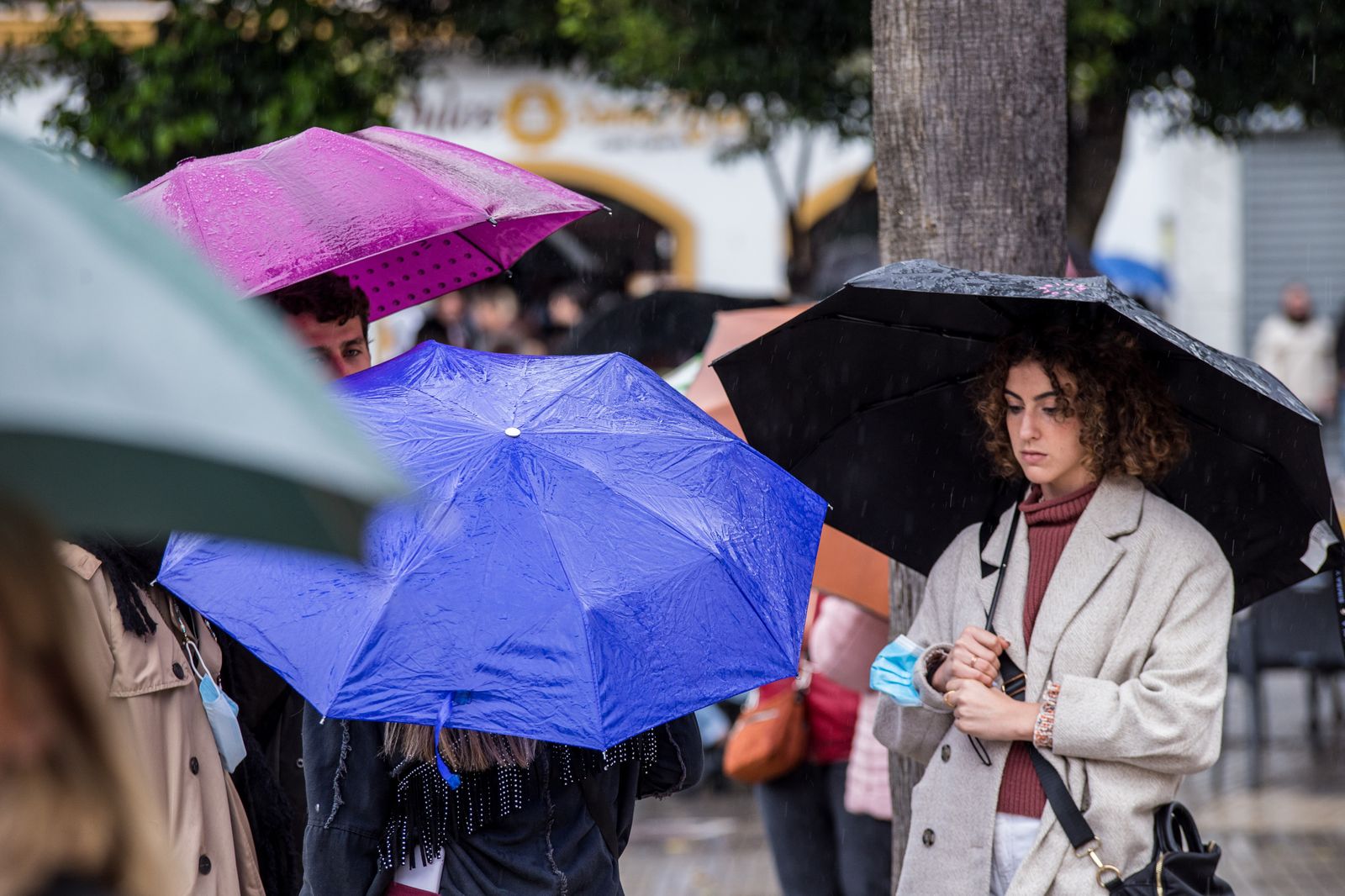 Lunes Santo en San Fernando: Las imágenes de Afligidos