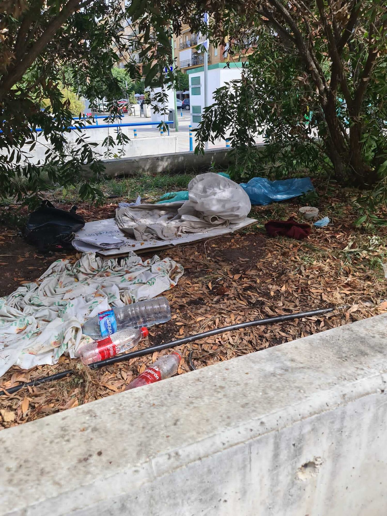 Uno de los jardines de Bami usados por los indigentes.