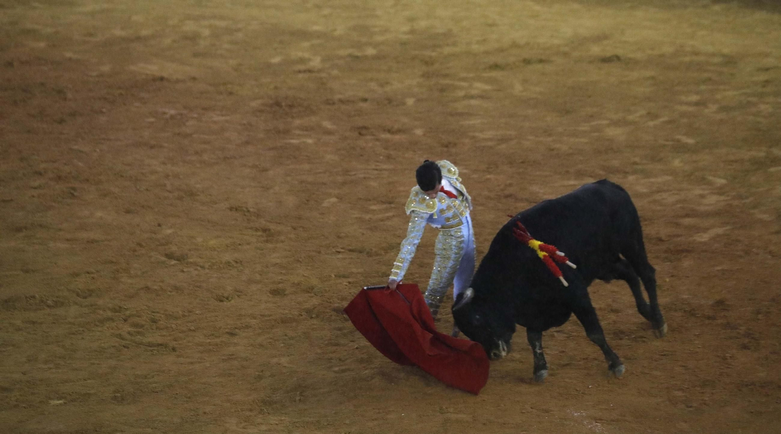 Las fotos de la novillada final de las escuelas taurinas de Cádiz, en La Línea