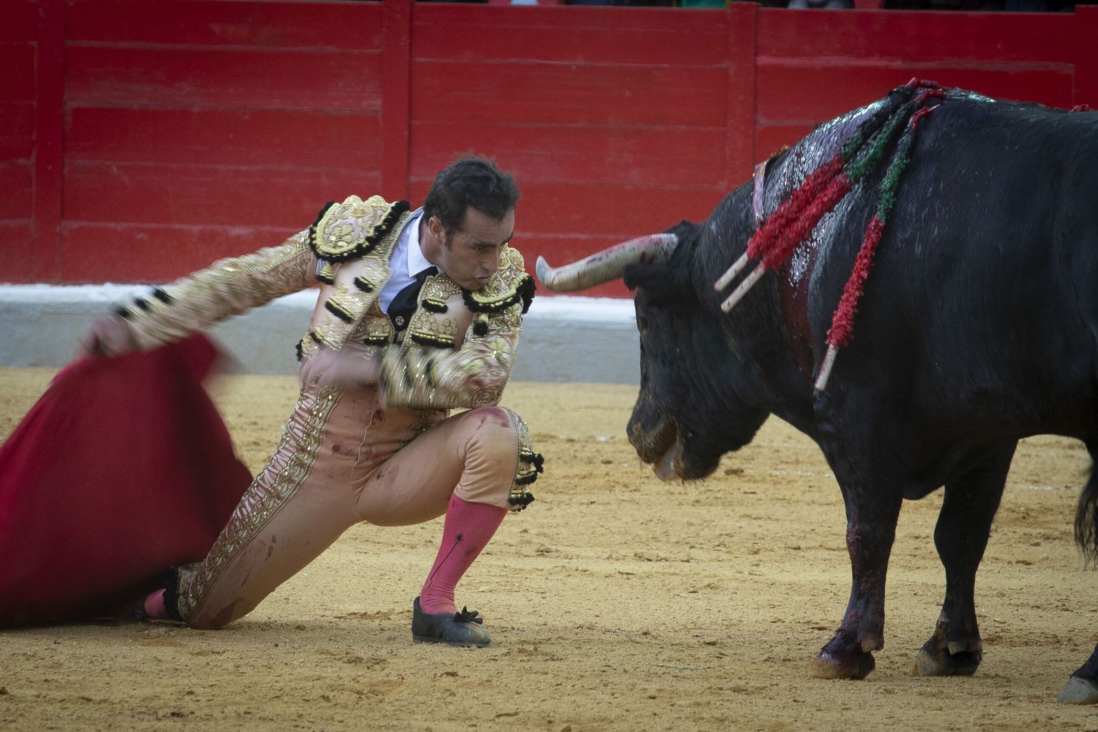 El Fandi vuelve a deleitar ante su afición