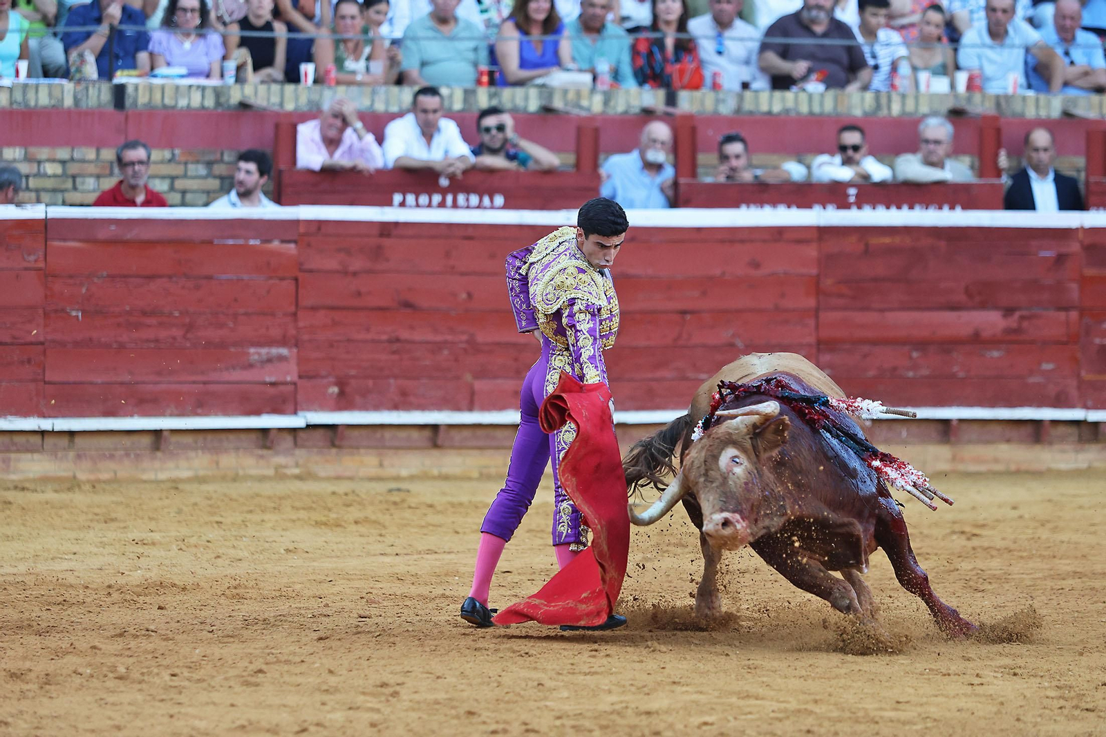 Toros La Merced 2024 Novillada con picadores(