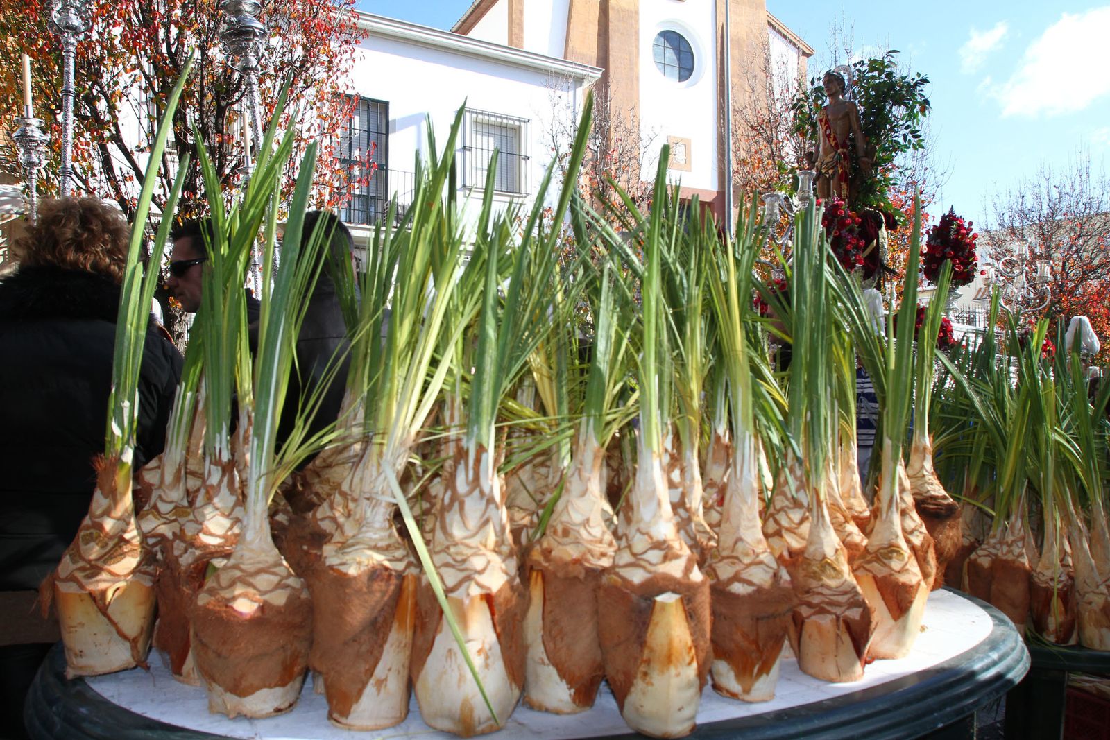 La procesión de San Sebastian en Imágenes.