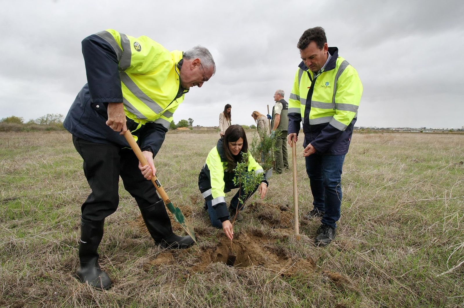 Imágenes de la plantación de árboles en los Llanos de Bacuta, en el Paraje Natural Marismas del Odiel, Huelva